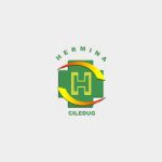 Lowongan Kerja di Rumah Sakit Hermina Ciledug